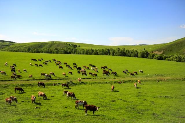 别再去热门景点了！这10个清静小城，人少景美消费低，值得一去
