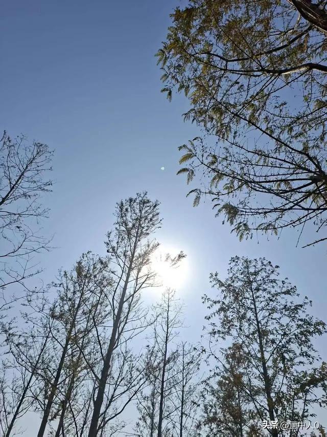 在河南，比洛阳低调，比开封安逸，这座小城才是被遗忘的温柔乡