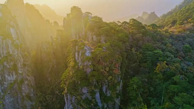 紧急播报：黄山秋色已达峰值，100%颜值在线，速来！| 皖美冬日 | 第十五届安徽国际文化旅游节