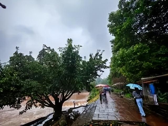 老兵军嫂游柳江：曾家园里看古树，烟雨河畔话当年