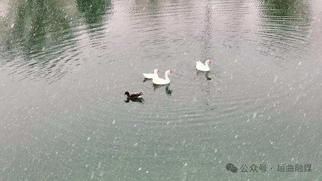 垣曲县迎来2025年入冬首场降雪 山城雪景成为“冬日限定”