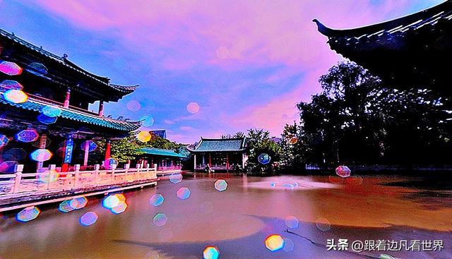 昆明蓝配翠湖银杏黄——藏着昆明最温柔的冬天