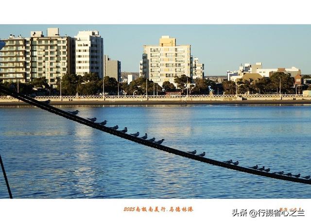 南极南美三国行游影记（71）—阿根廷马德林港（二）