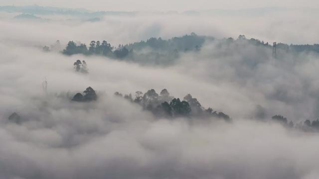晨雾漫卷凌云山 “醉美”仙境入画来