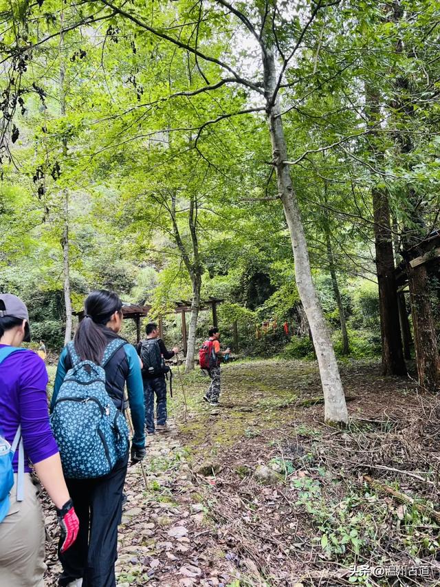 领略浙东丹霞地貌！仙居户外经典穿越线路，二小时可至！