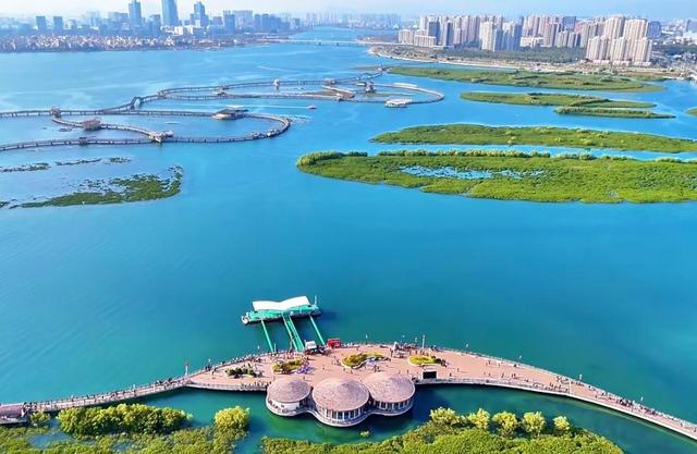厦门下潭尾湿地公园，被称厦门版的马尔代夫，海上森林，颜值爆表