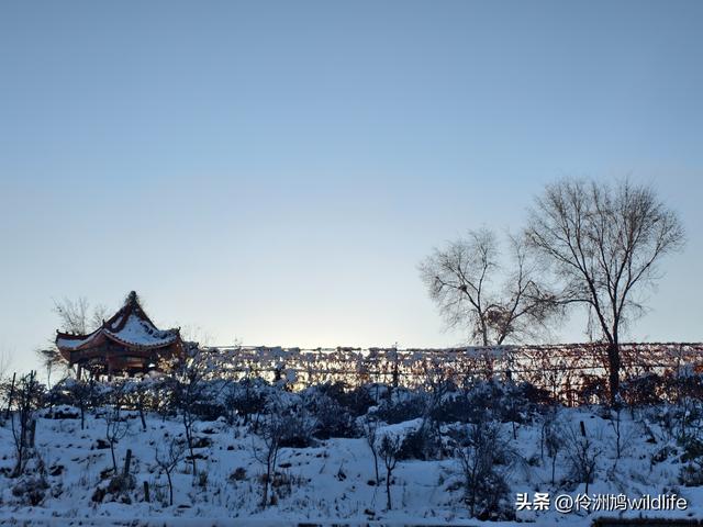 新疆乌鲁木齐红光山大佛寺