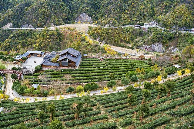 2024深秋四川行19 神农架风景区2 华中屋脊的五彩秘境