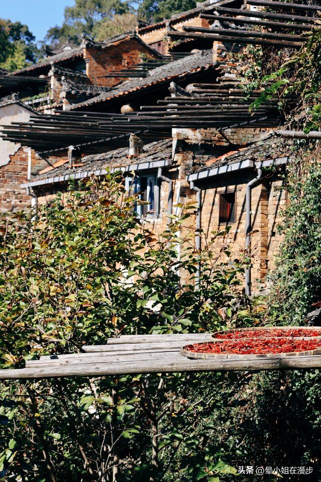 秋色浓、叠彩韵、檐下晒秋图，这可能是国内最美的秋天