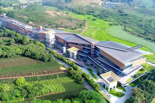 “冬养罗浮”康养品牌发布！在引领区过冬是怎样一种体验？