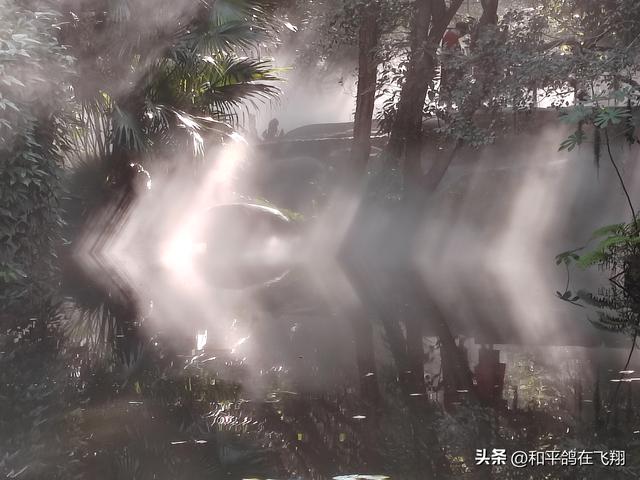 厦门植物园：邂逅自然的绮梦