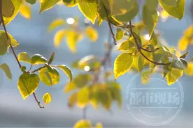 “春捂”就是多穿点？错！正确“捂”法看这里图片