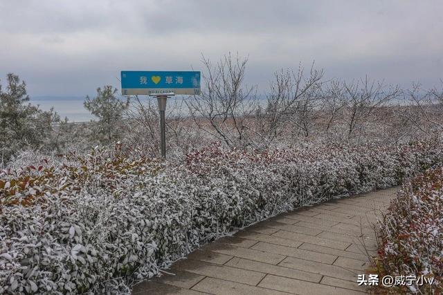 琼枝映草海 雾凇绘高原——威宁草海北坡生态公园现冬日限定仙境