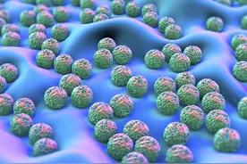 如何正确服用阿莫西林、阿奇霉素、头孢克肟、左氧氟沙星和甲硝唑图片