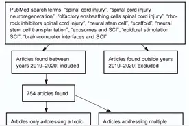 NRR杂志高被引综述：关于脊髓损伤3篇图片