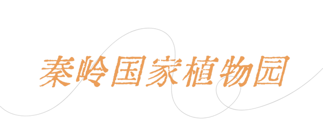 免票！半价！