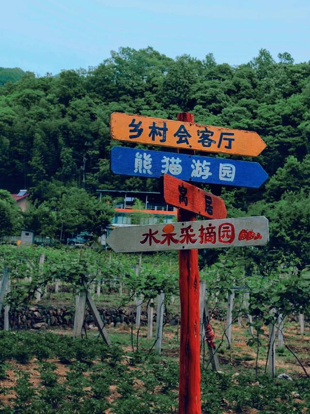 躲进秦岭古村，来佛坪过两天山野慢生活！