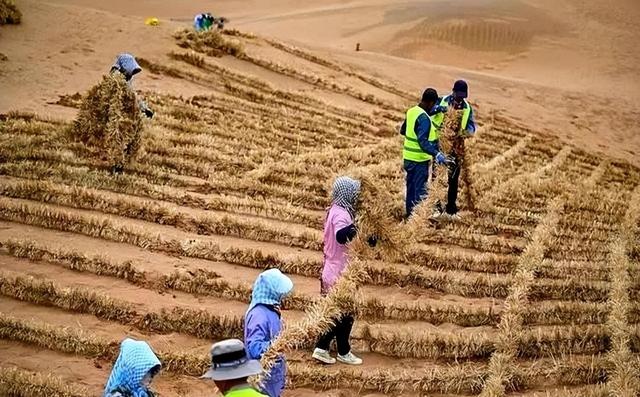 西方媒体：中国不可怕，可怕的是中国成为首个能消灭沙漠的国家