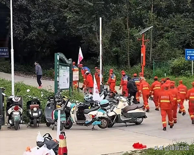 苍山自闭症男孩失联已3天：恶心一幕出现，更多人被无端质疑！
