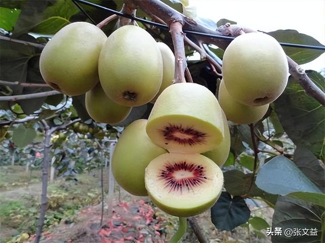 广元藏多少传奇？守蜀道、留武后、映红魂，越品越动心
