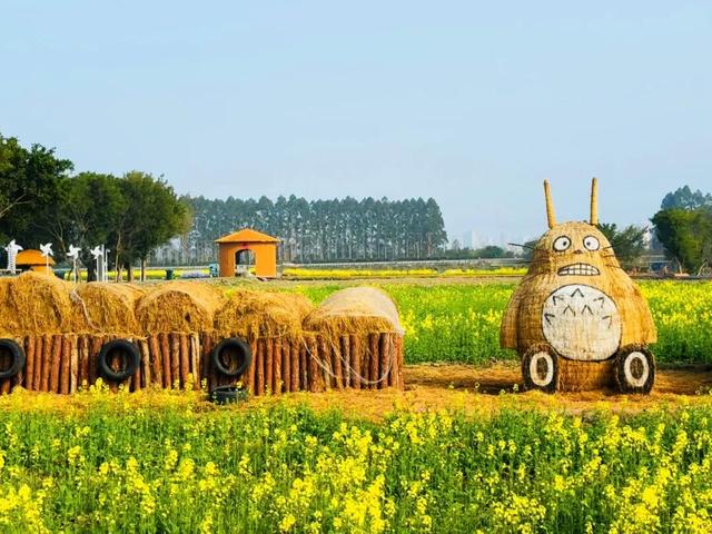 赴一场春日田园之约！上林垟村千亩油菜花海笑迎八方客