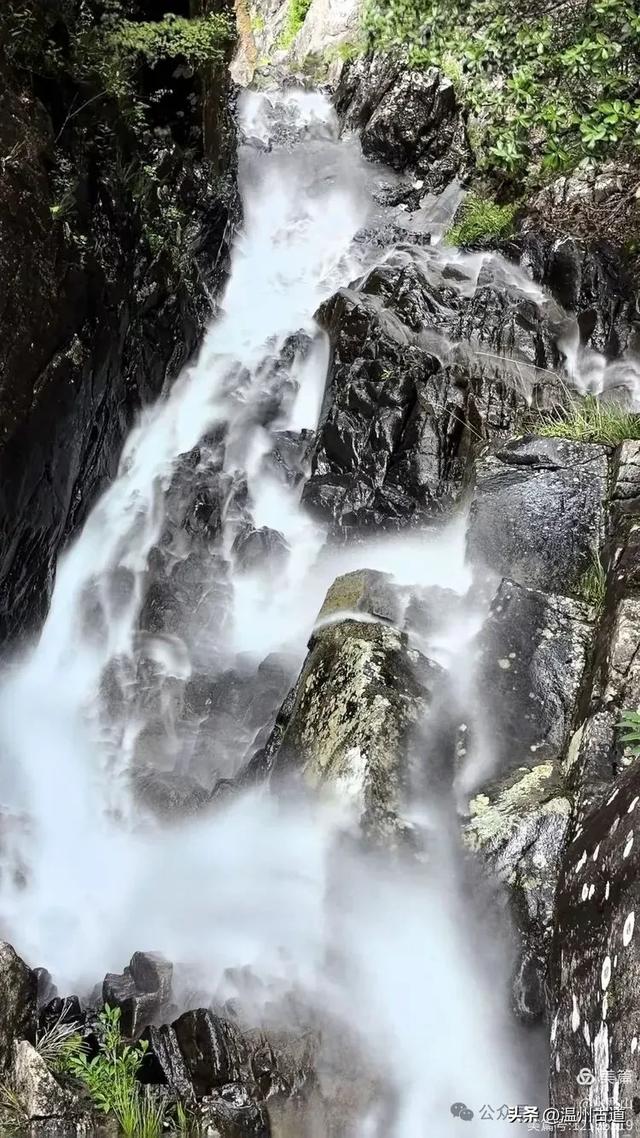 真正的小众避暑胜地!这方秘藏于千米高山之上的清凉秘境等你来!
