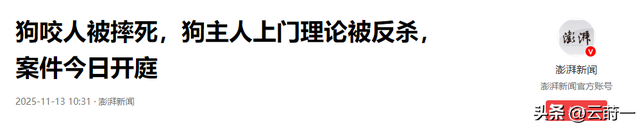 狗主人被反杀案开庭，9人闯门打砸，妻子后悔冲动，更多细节披露