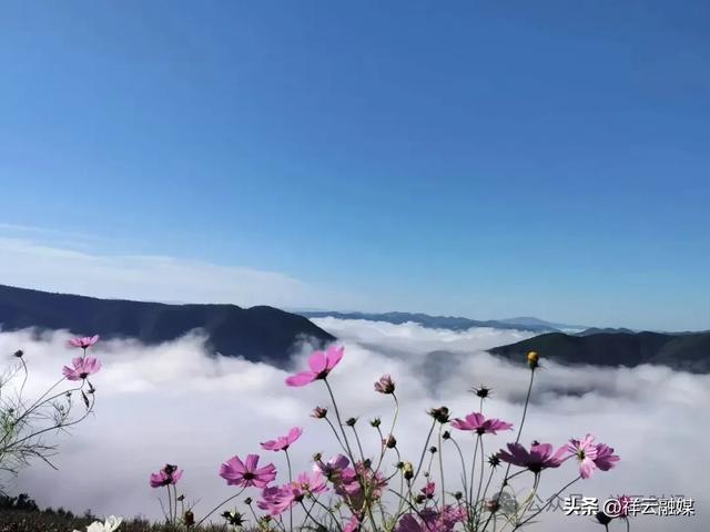 旅居祥云 | 东山乡：山水入画，自在呼吸
