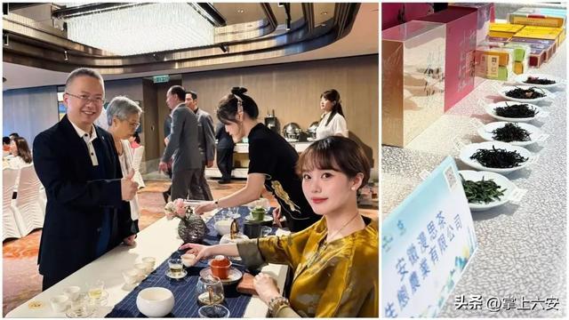山水六安亮相香港，邀世界共赴康养之约