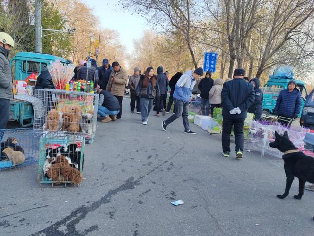 记录德州：岔河河堤上的大集，人山人海，异常热闹