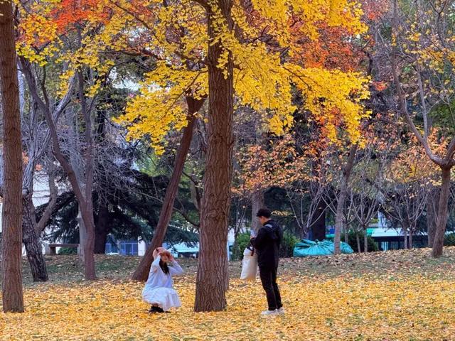 快来打卡！石家庄109座公园广场同步推出……