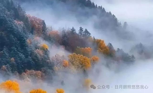 登山则情满于山，观海则意溢于海