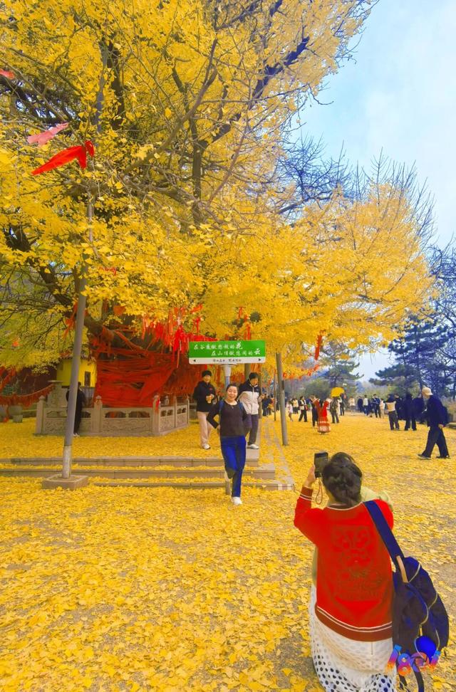 顶流“约会”，主角2500岁 ！潍坊安丘城顶山！