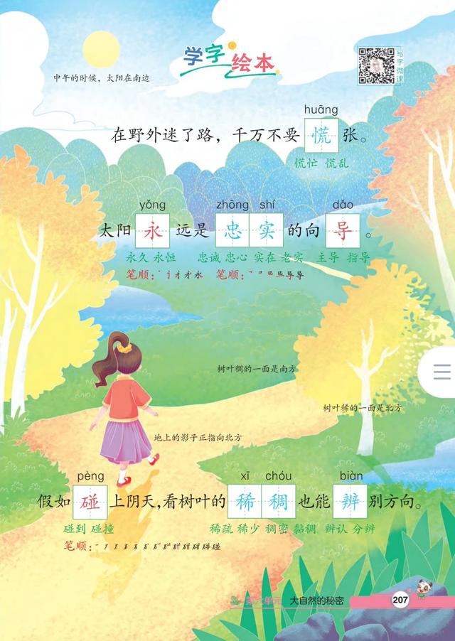 二年级下册语文，第六单元《要是你在野外迷了路》笔记+课堂解析
