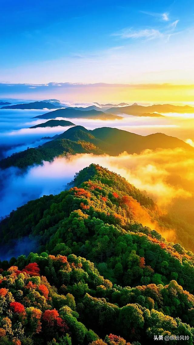 晨雾漫过秋山肩，层林燃作赤金焰