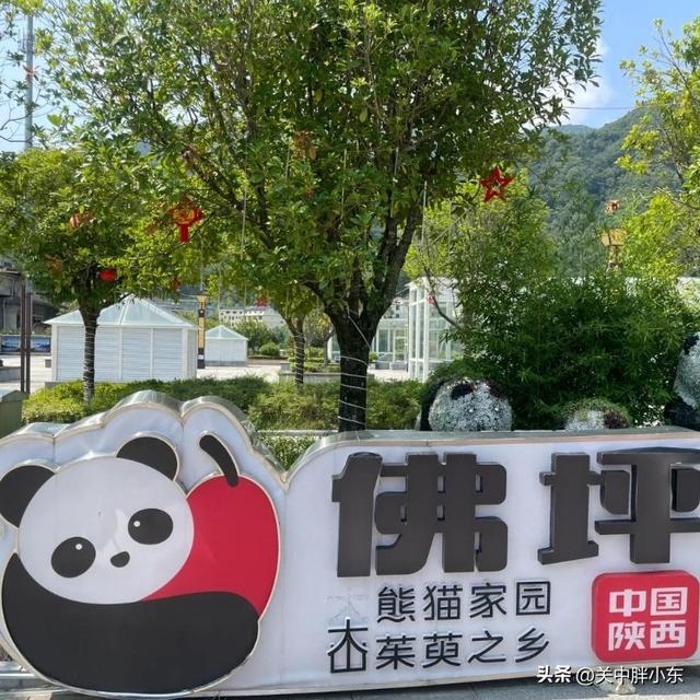 《逛吃陕西县域》佛坪：西安到佛坪一日游攻略，看熊猫品美食