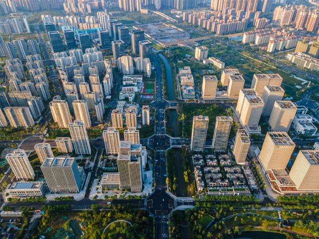 事关机器人国家标准！这场大会在成都高新开幕