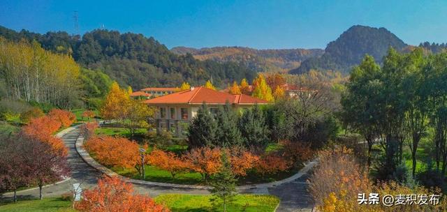 【东方微笑 多彩麦积】摄影师看麦积 | 初冬和谐园景色如画（上）