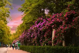 山东农业大学，靠什么成为省内第四所“双一流”高校？图片