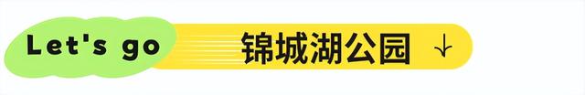 地铁直达！免费！成都20个绝美赏秋地，银杏水杉梧桐红枫限时上演！就在家门口！