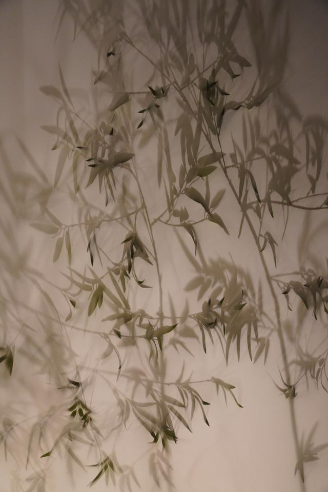 南京六朝博物馆｜走进“最自由、最浪漫”的中国美学时代