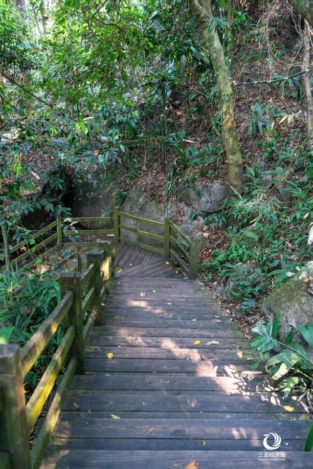 壮美五指山，我要给你五颗星