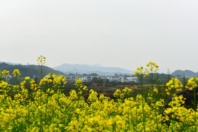 婺源月亮湾