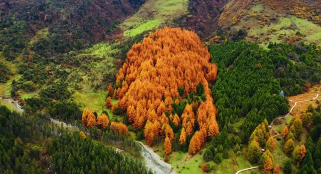 秋假福利持续至本周末！免票游雅安的快乐要一接再接！