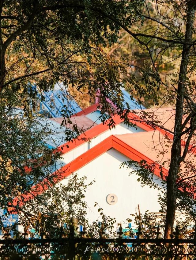 6处入选！市南绝美表白地，是一眼沦陷的程度！