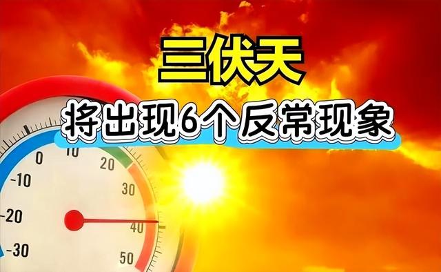 7月20号入伏，不出意外，今年三伏天将出现这6个现象，与往年不同