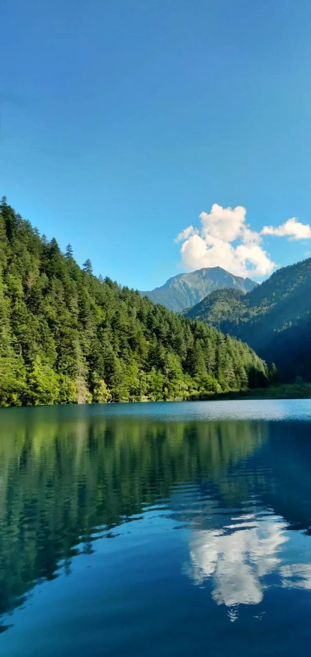 鱼跃天际、鸟翔水底，九寨沟邀你共赏夏日奇景~