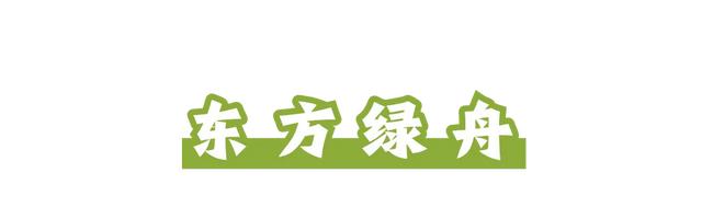 周五宠粉日｜运动赏景两不误！这份公园运动指南请查收，更有辰山植物园门票等你免费领