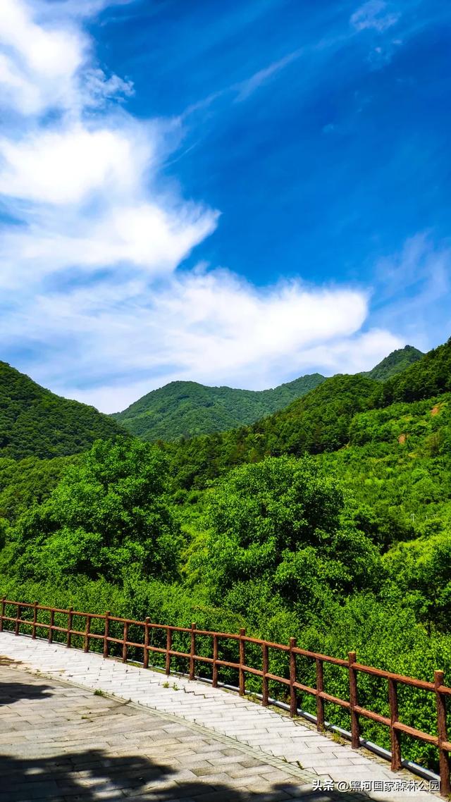 坐落于秦岭深处的黑河森林公园，正美得更肆无忌惮