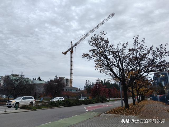 温哥华游记（五）